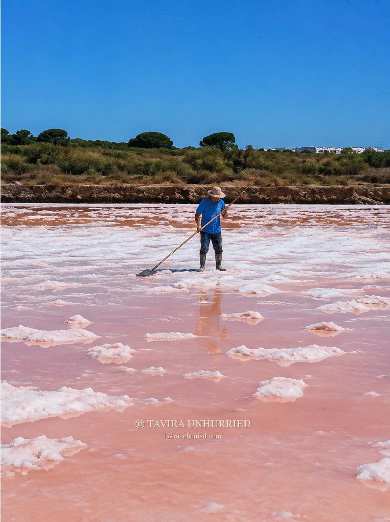 Tavira Unhurried — photo 17
