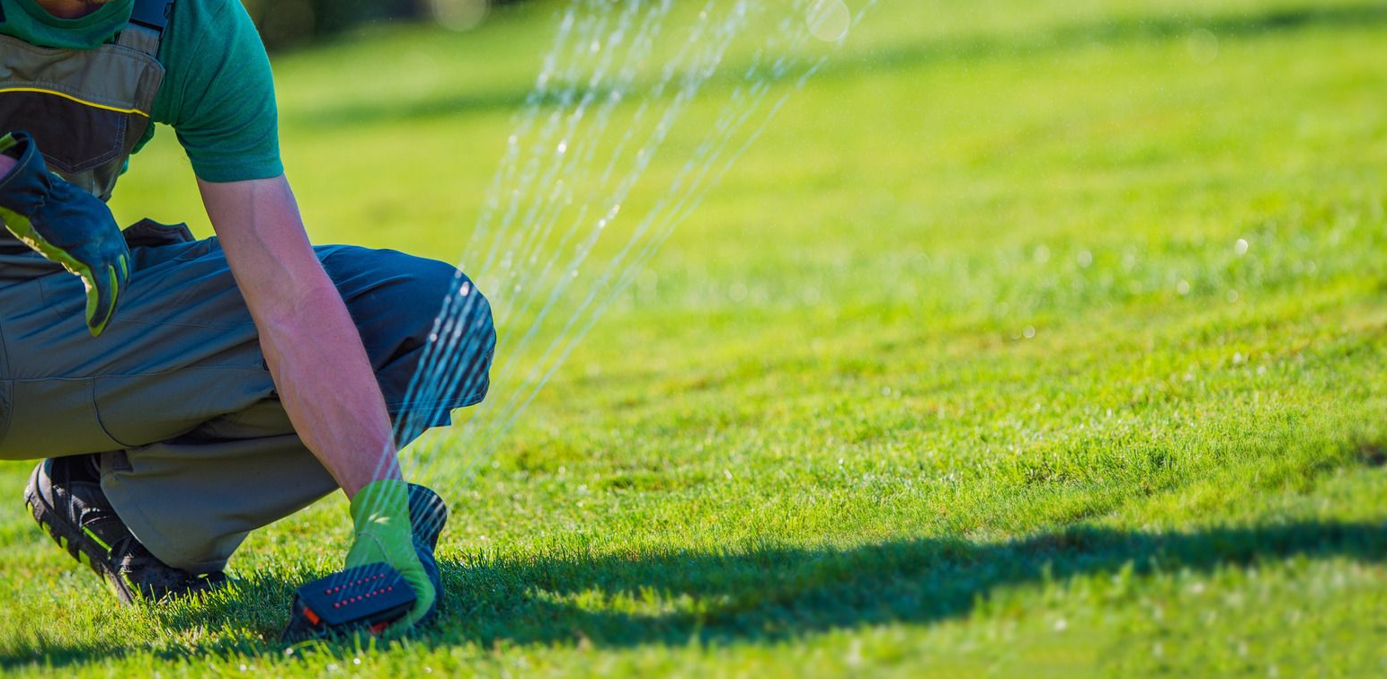 Gardener kneeling on grass, trimming or planting in a bright green lawn