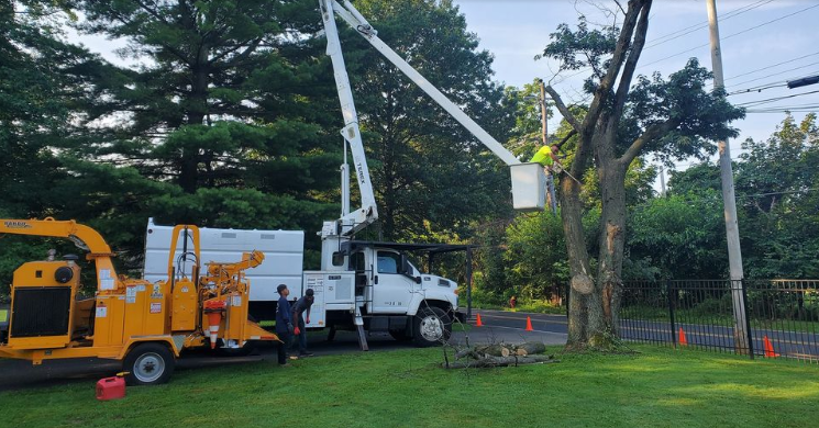 A man in a bucket is cutting a tree in front of a house.