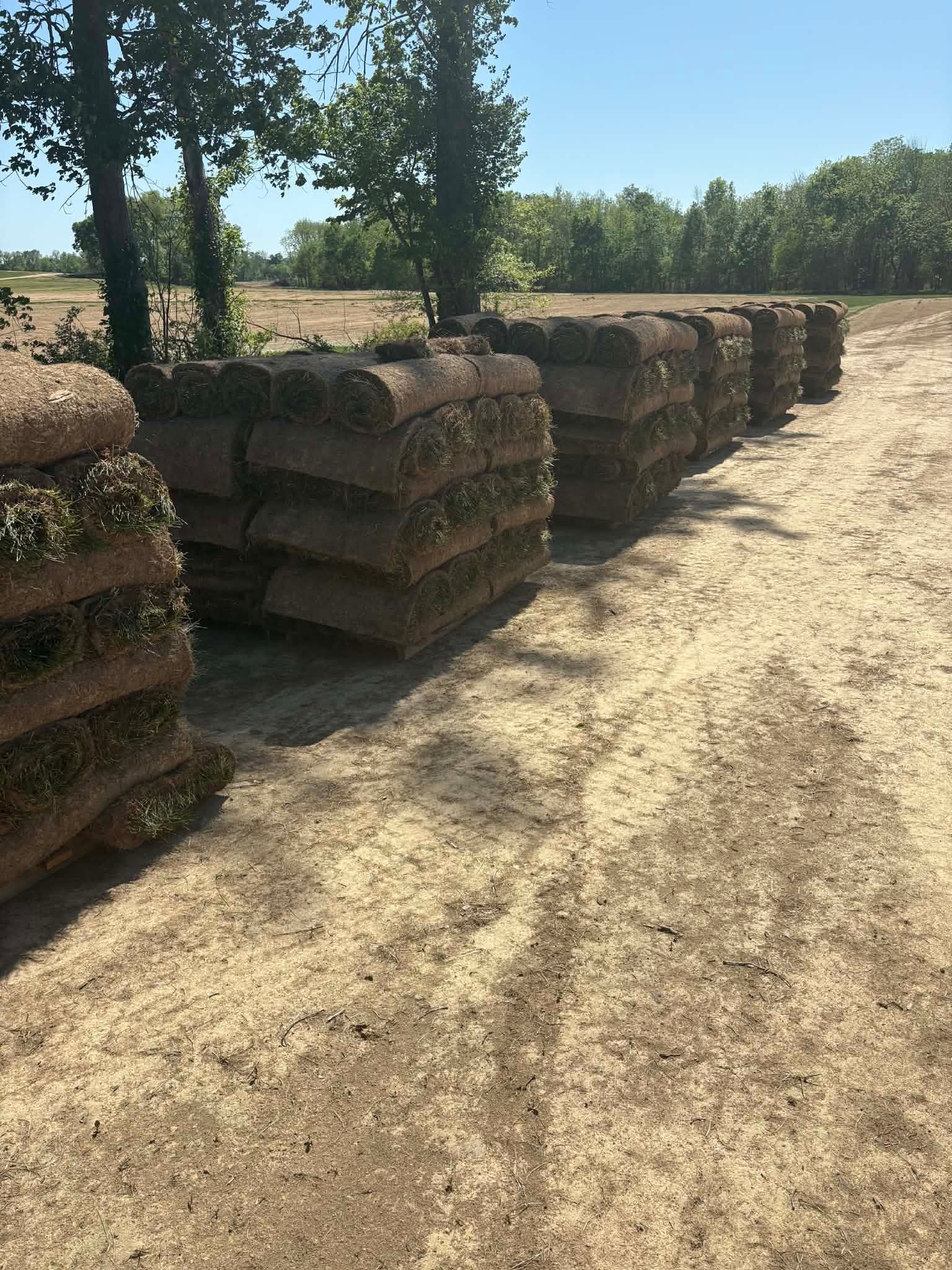 pallets of sod