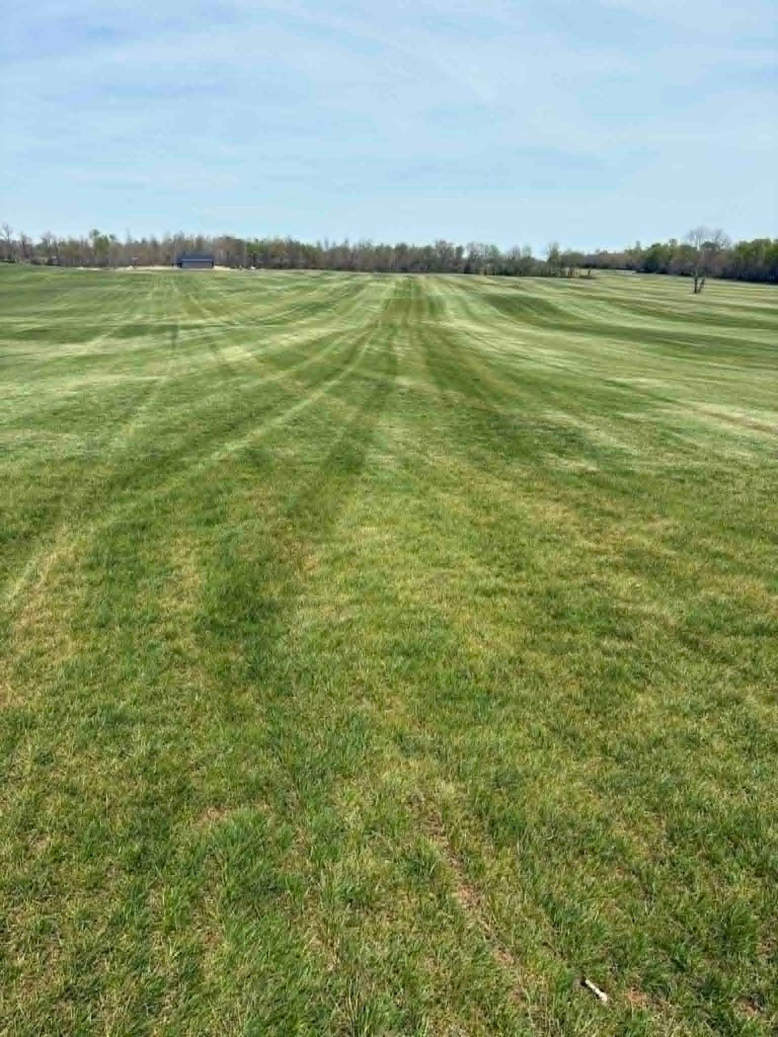 sod field