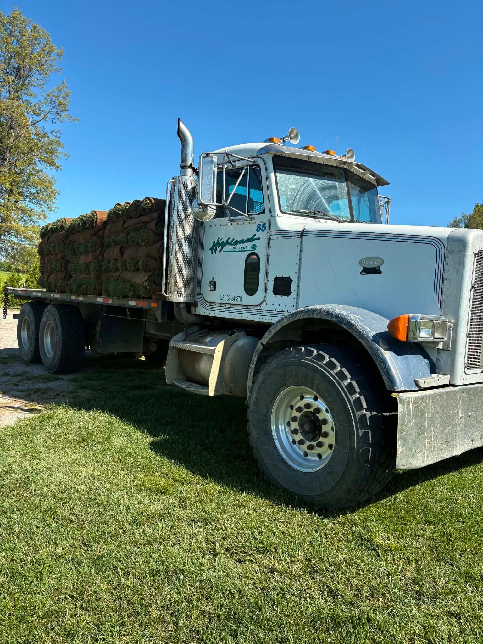 sod farm