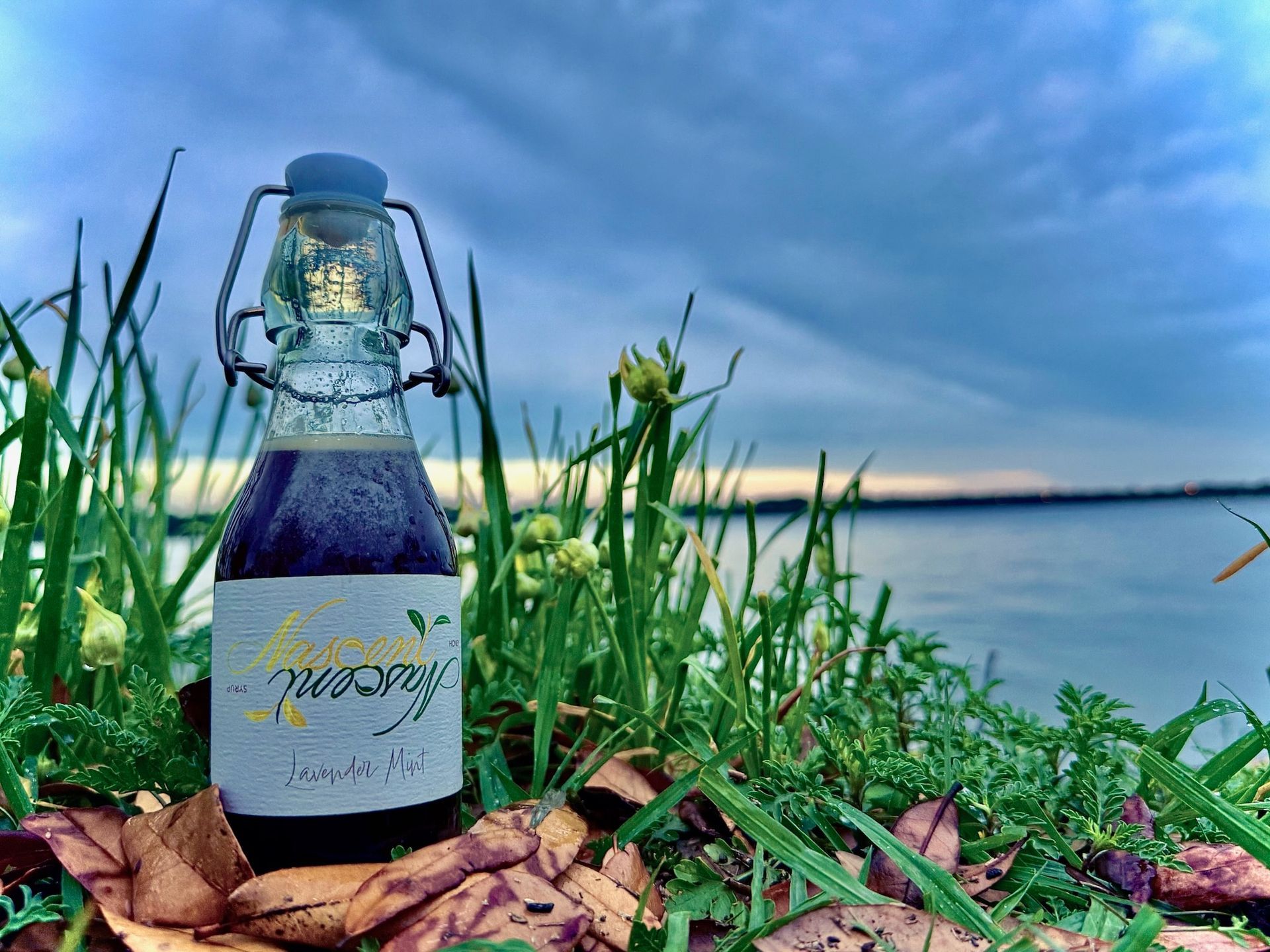 Lavender Mint Syrup
