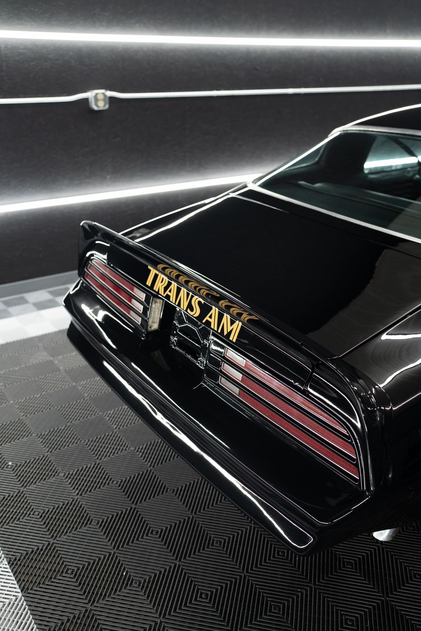transam back