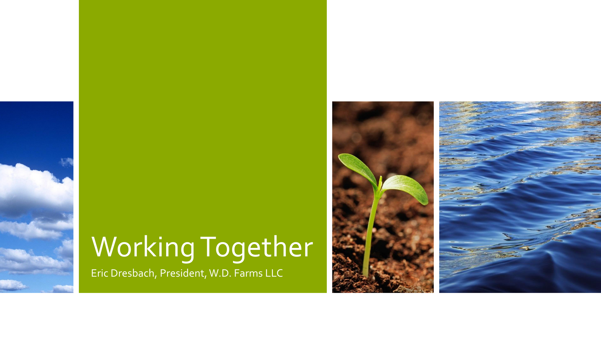 Green “Working Together” banner with sky, seedling in soil, and water imagery