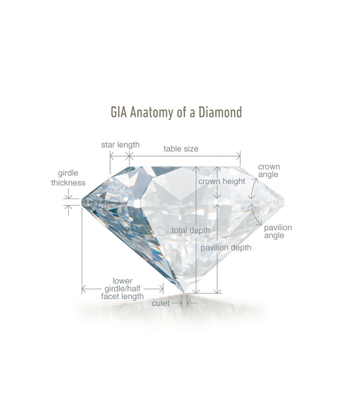 A diagram of the anatomy of a diamond