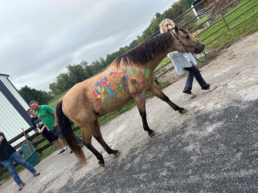 Pony Parties
