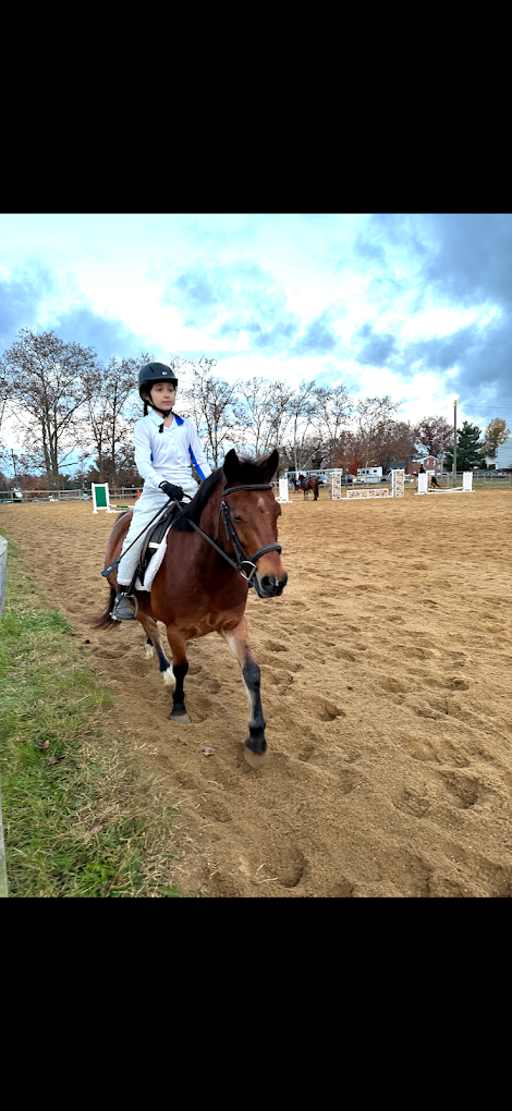 Horseback Riding Lessons