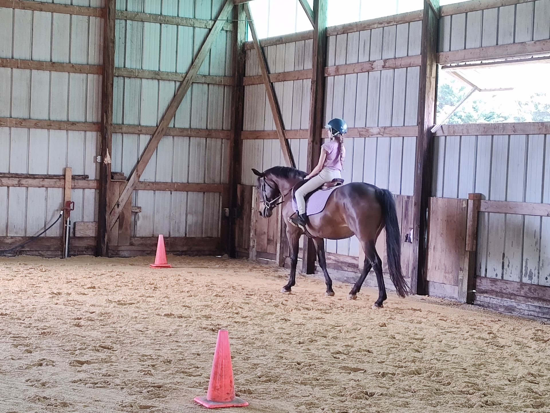 Horse Training