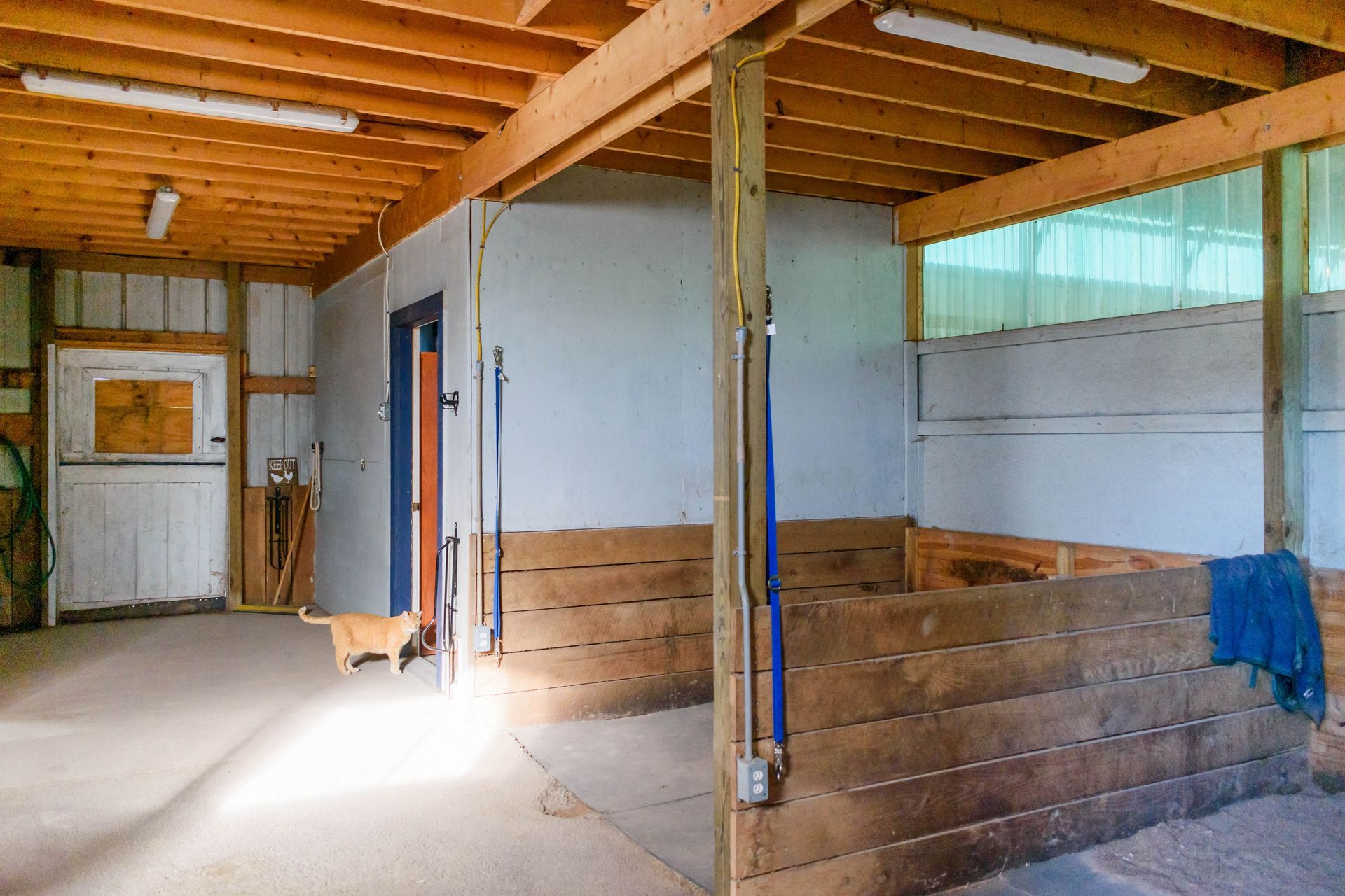 Grooming Stalls
