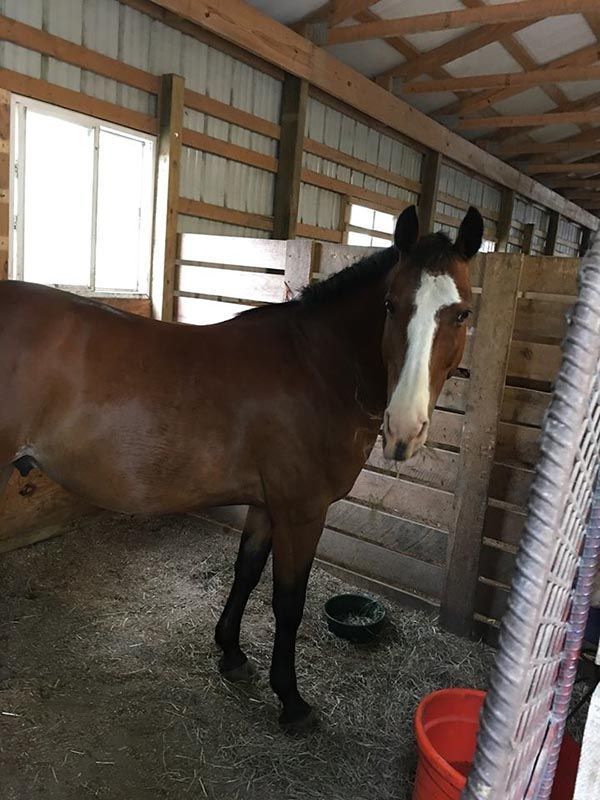 Sebastian