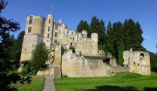 Château en pierre en ruine avec tours, pelouse herbeuse et arbres sous un ciel bleu.