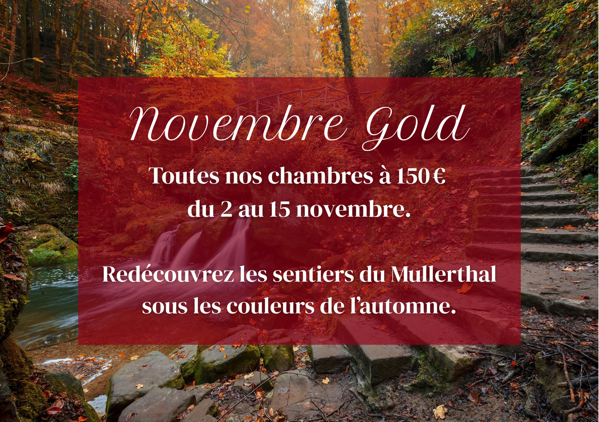 Affiche promotionnelle pour « Novembre Gold » avec des tarifs spéciaux pour les chambres à Mullerthal du 2 au 15 novembre.