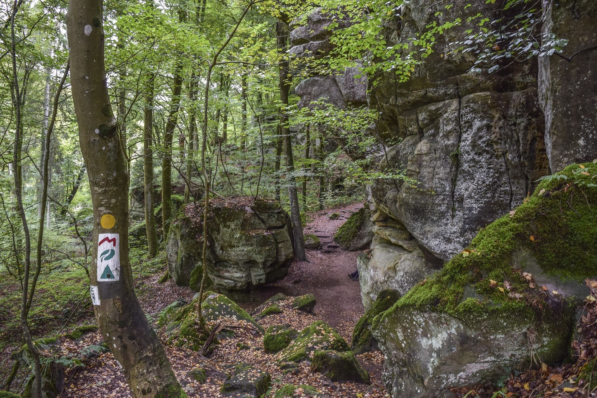 Sentier forestier à travers de gros rochers moussus, avec des balises de sentier sur un arbre.