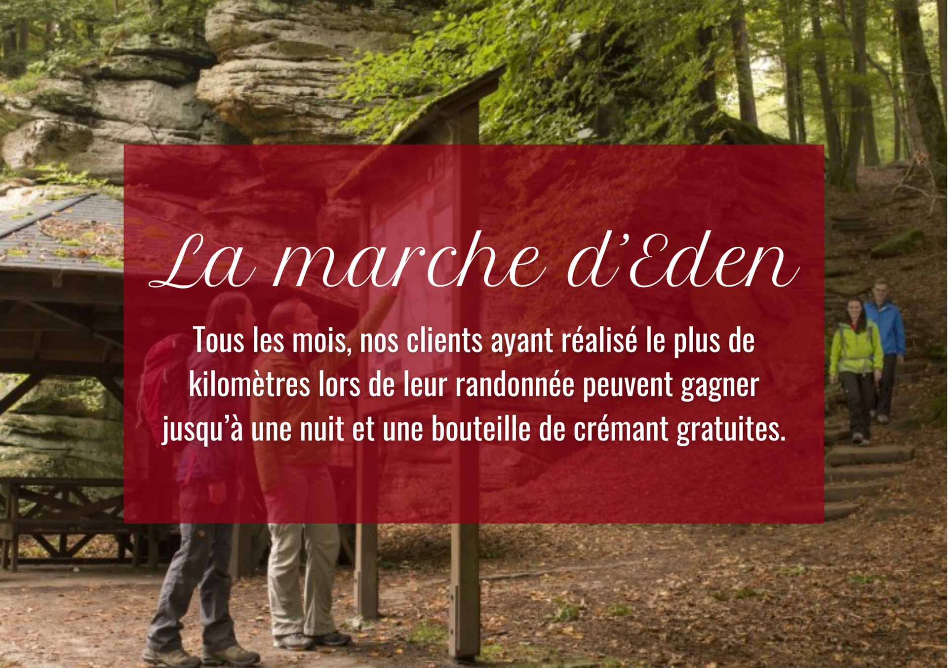 Randonneurs en forêt sous une bannière rouge annonçant « La marche d’Eden » et un texte promotionnel.