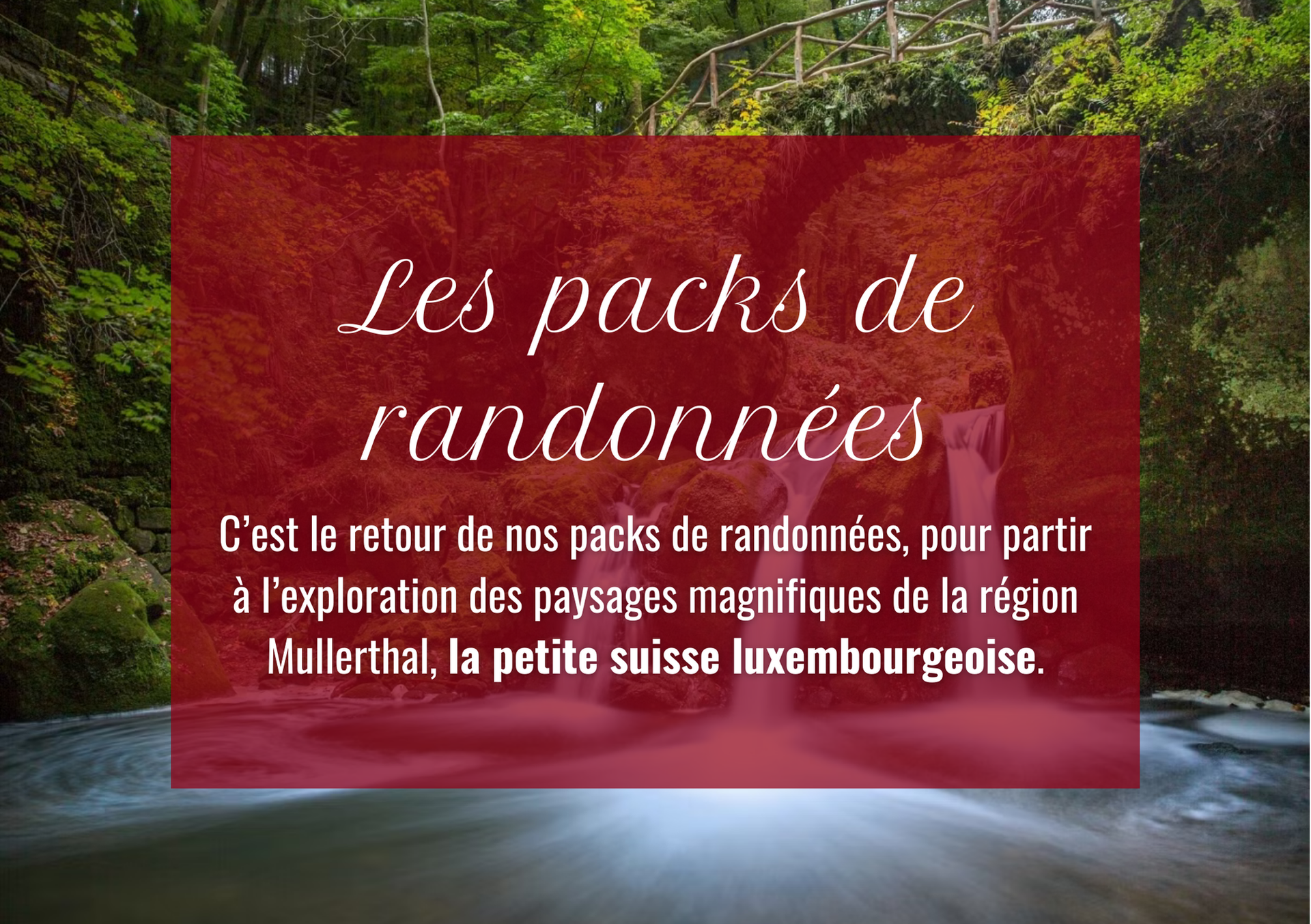 Texte : « Forfaits randonnées ». Promotion pour la région Mullerthal, « Petite Suisse Luxembourgeoise ».