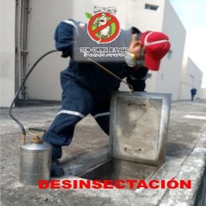 SERVICIO DE DESINSECTACIÓN