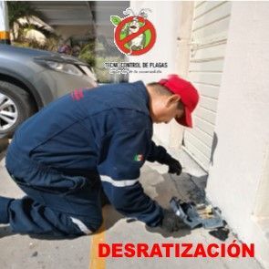 SERVICIO DE  DESRATIZACIÓN