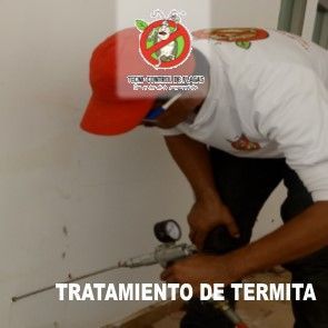TRATAMIENTO DE TERMITA