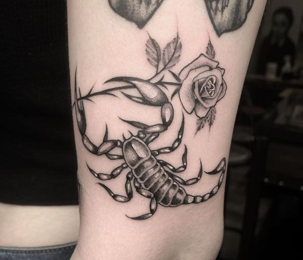 Black-and-gray scorpion tattoo with a rose on a forearm, outlined in a detailed tattoo style