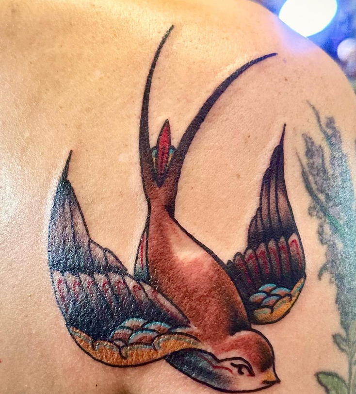 Colorful swallow tattoo on skin with outstretched wings and a red-brown body