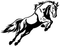 A white background with a few lines on it
