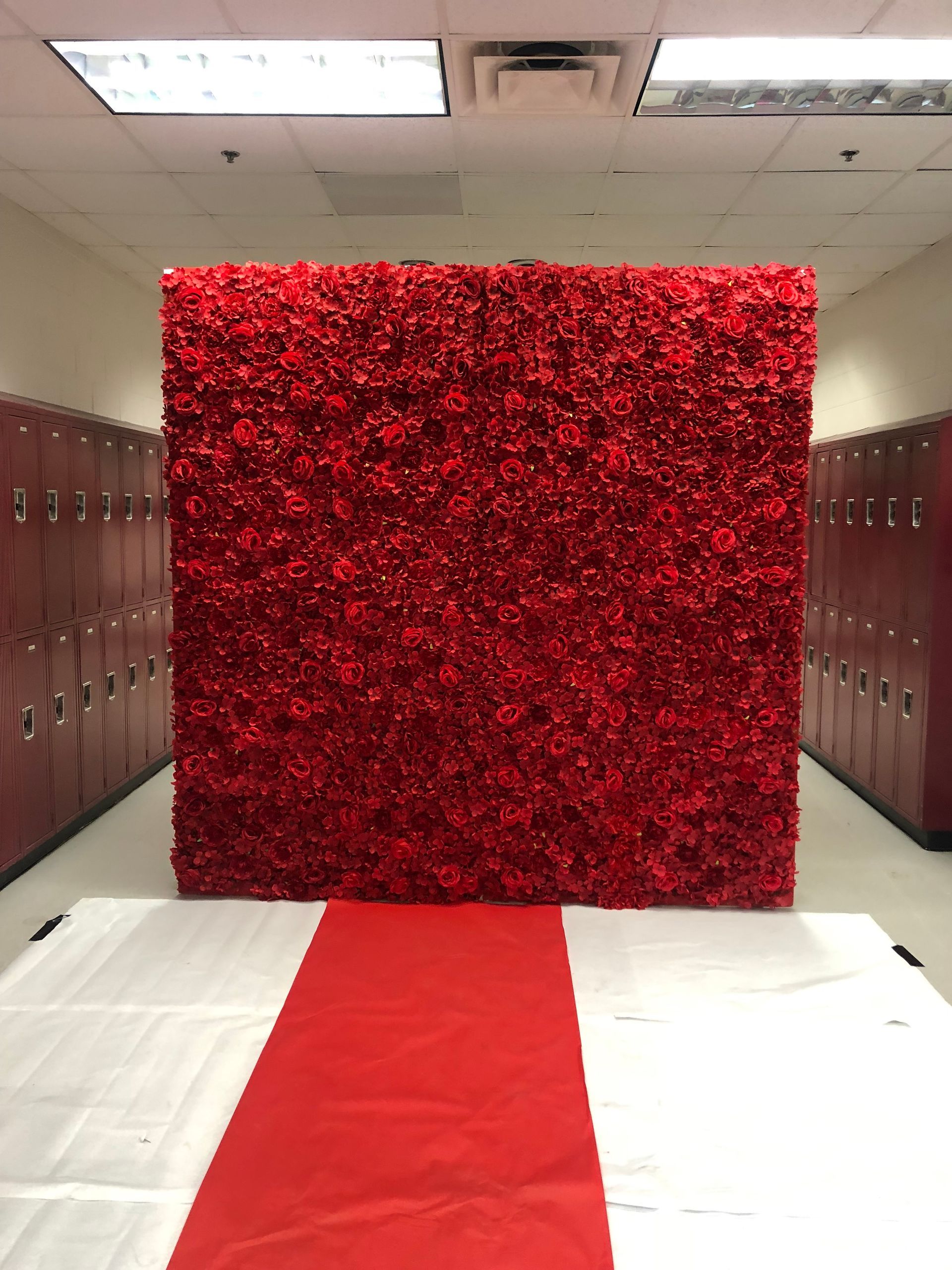 Red rose wall