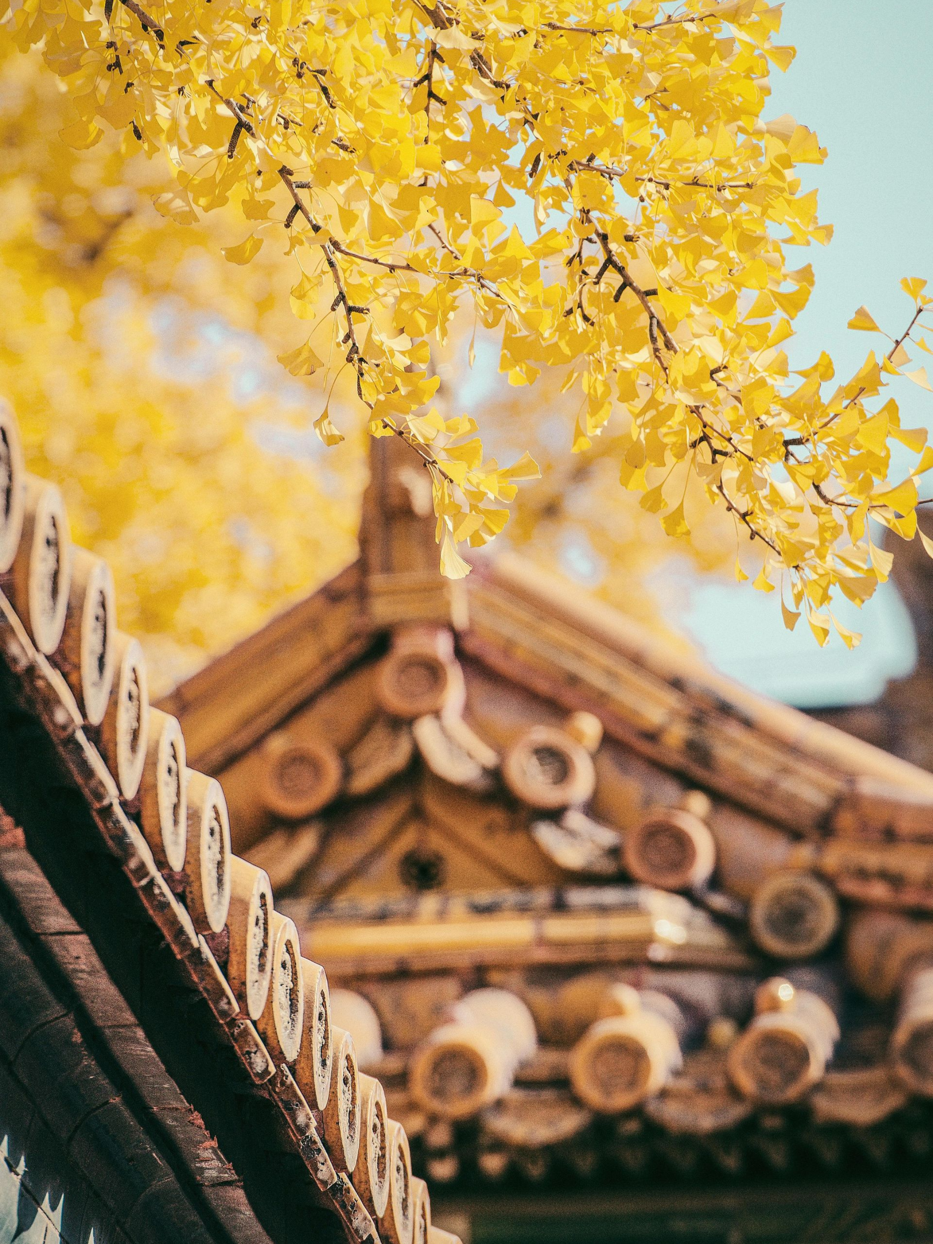 Trainings, Workshops, and Study Groups at Enlightened Life Temple