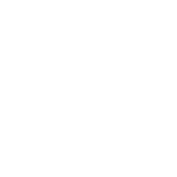 A white background with a few lines on it