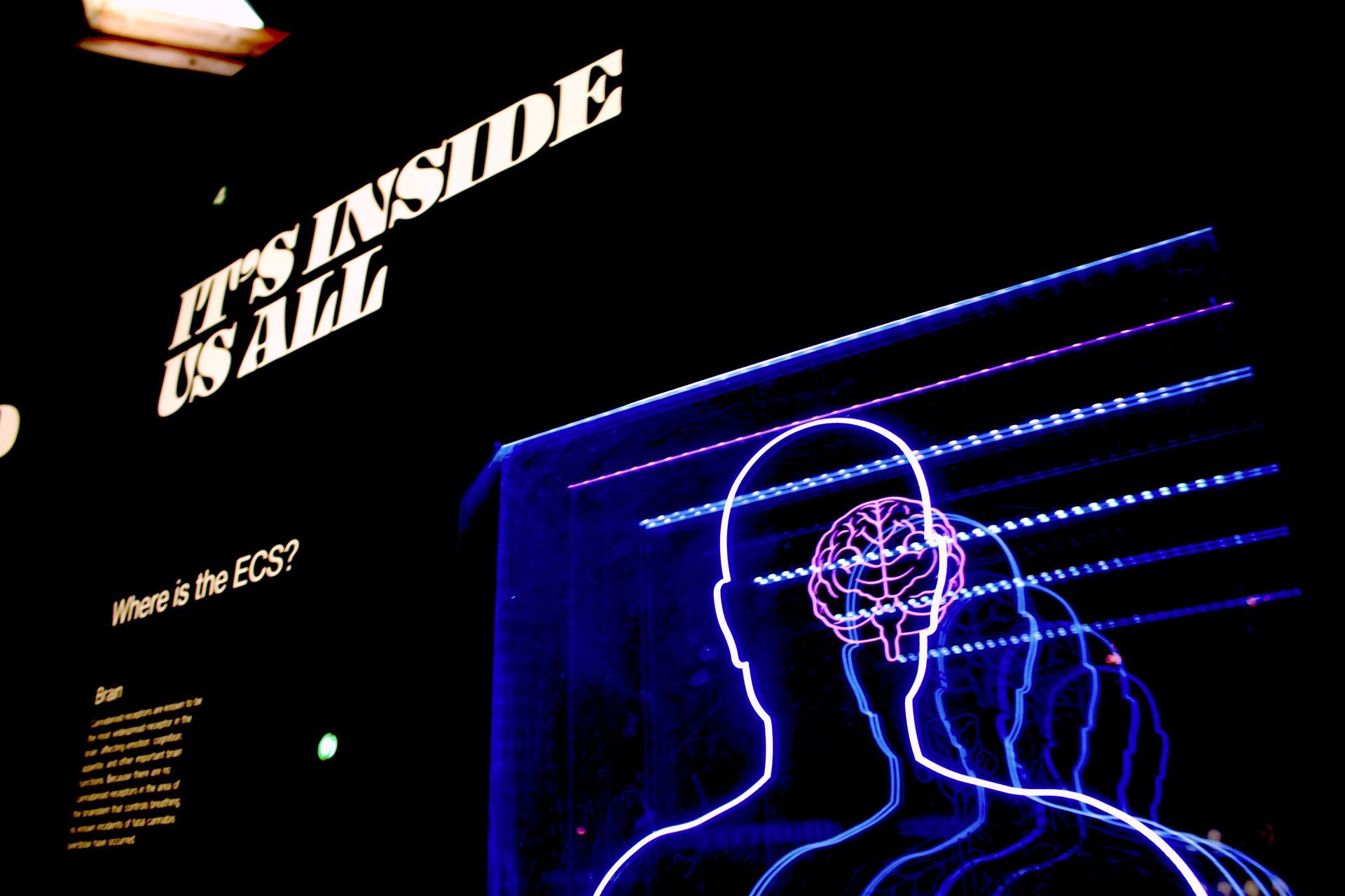 A sign that says It 's Inside Us All