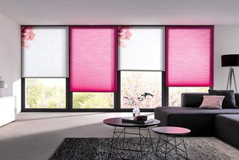modernes Wohnzimmer mit Wabenpliss