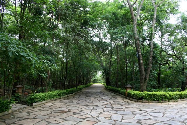 Pedra Lajão natural aplicada em pisos e caminhos externos, com grandes peças irregulares em tons de cinza, verde e bege integradas ao paisagismo tropical.