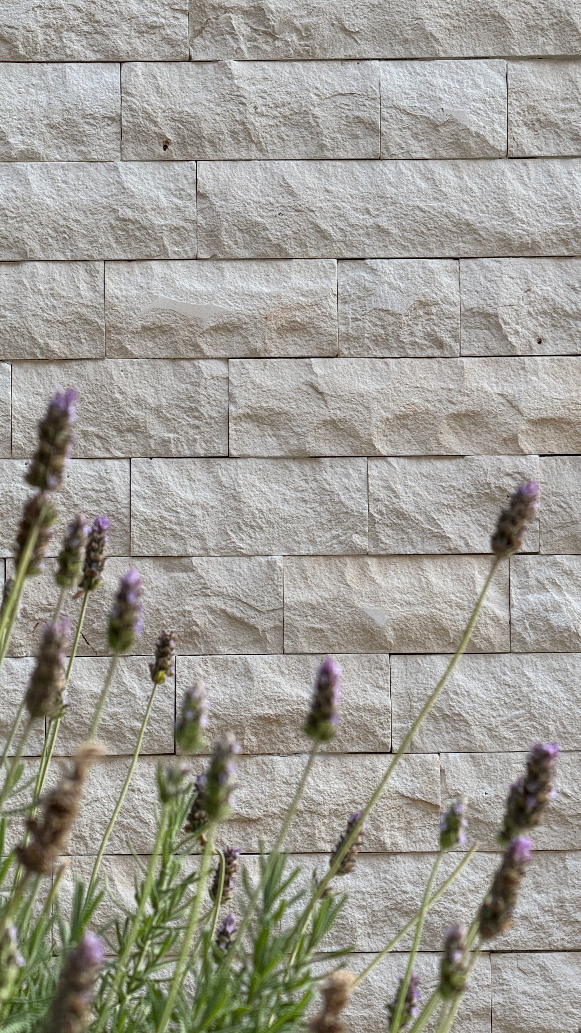 pedra limestone