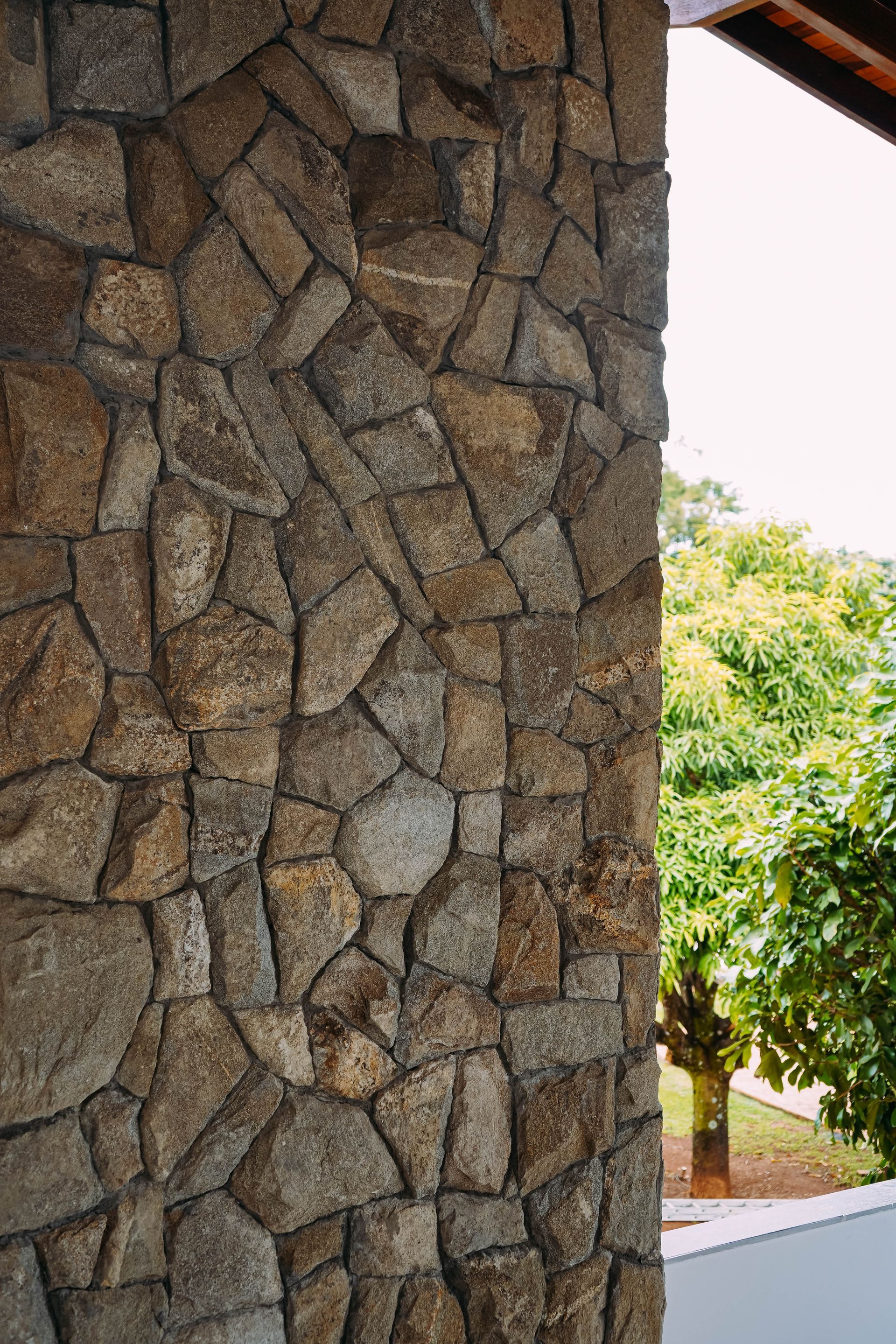pedra moledo kingdom