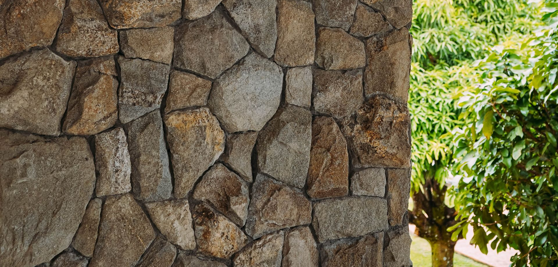 pedra moledo kingdom