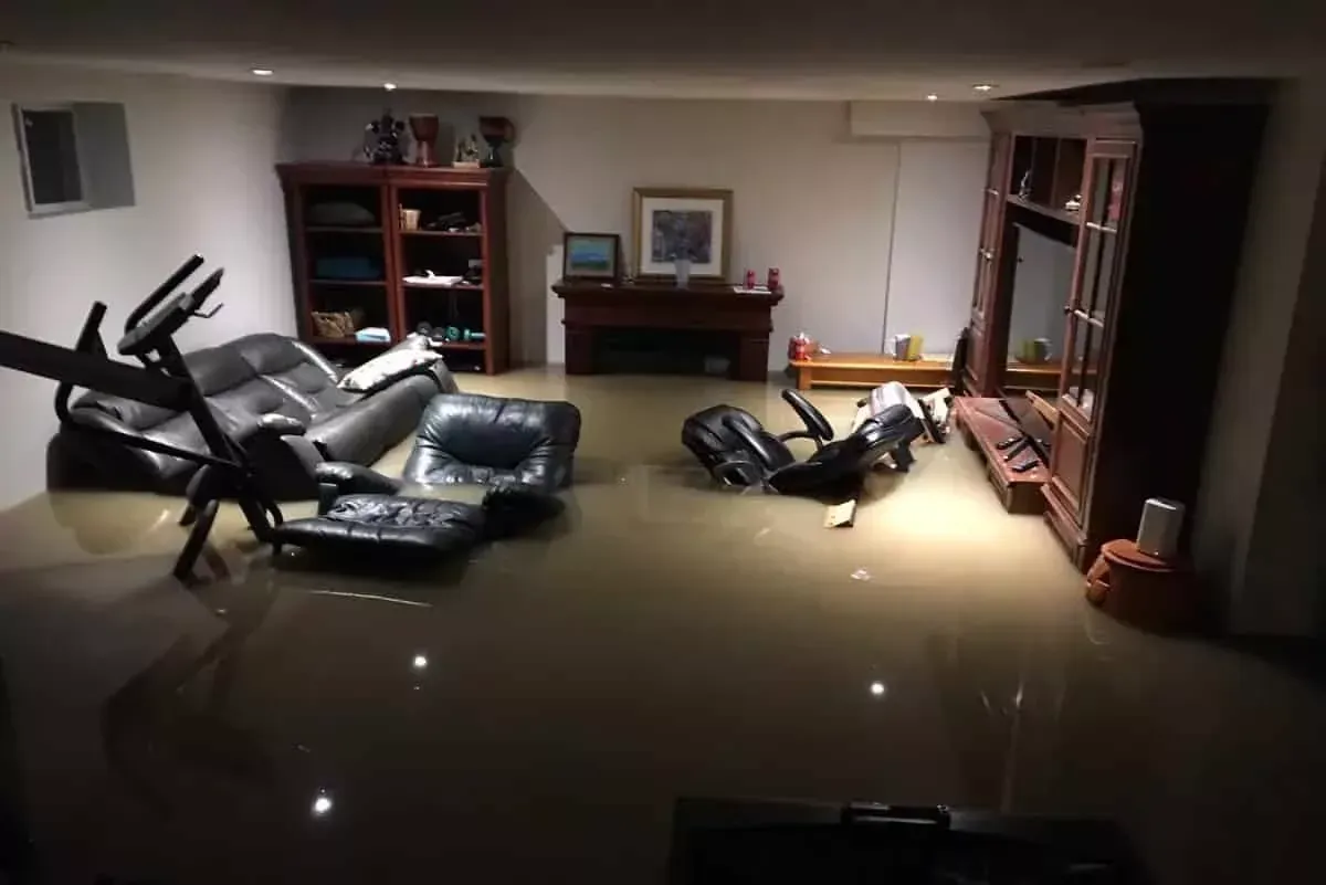 Basement Check