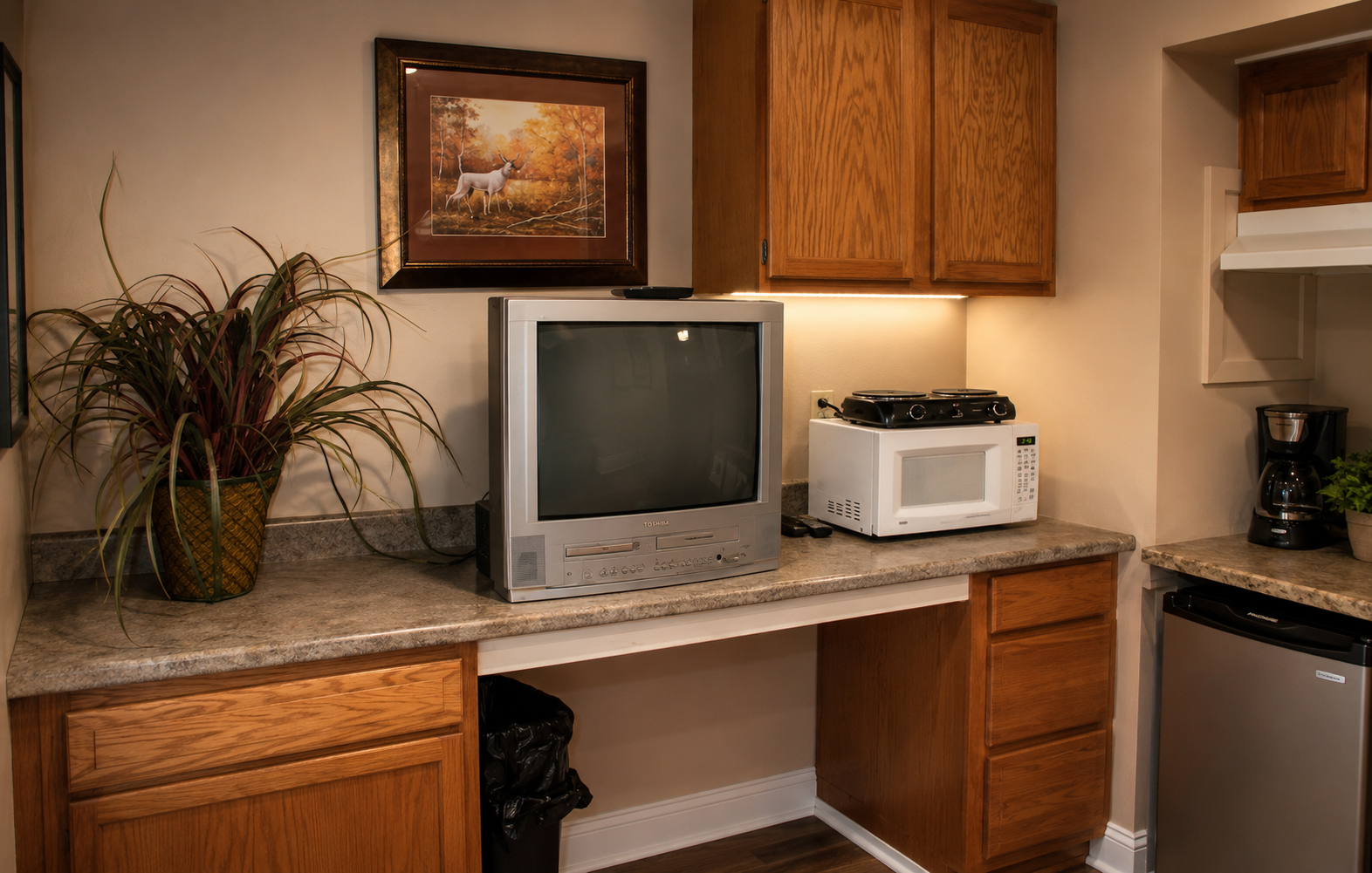 Kitchen counter with a CRT TV and a white microwave under wooden cabinets.