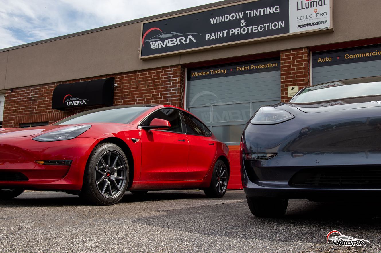 Umbra Window Umbra Window Tinting | Window Tint, Paint Protection Film (PPF ...