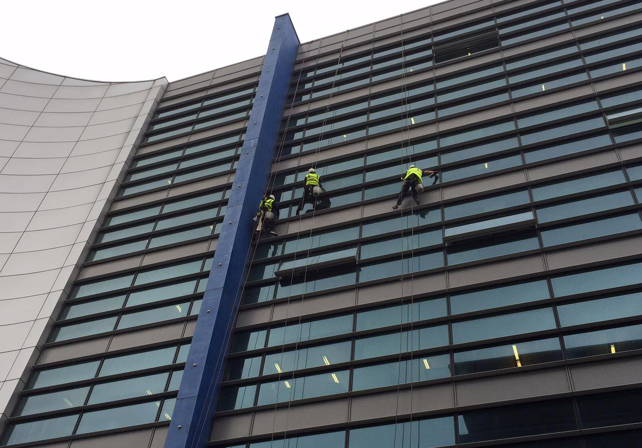Three window washers, in safety vests, rappelling down a glass-walled high-rise building, cleaning windows.