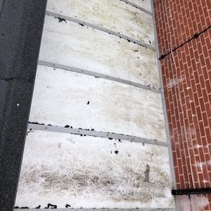 White panels on a building's exterior are marked with streaks of dirt. Red brick wall is on the right.