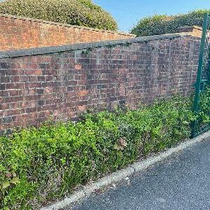 Brick wall with green hedge and road before being cleaner with jet washing