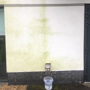 facade cleaning using soft wash render cleaning exterior white wall