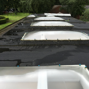 Black flat roof with multiple skylights, wet from rain.