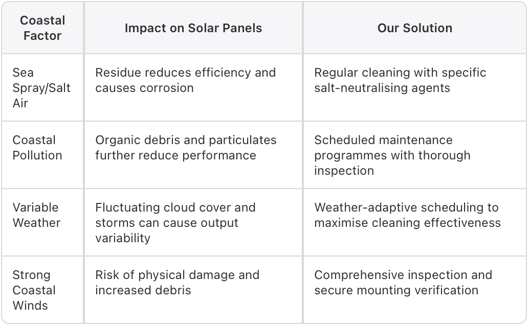 Table outlining coastal factors affecting solar panels, impacts, and solutions: Sea spray, pollution, weather, and strong winds.