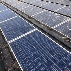 Solar panels, some clean, some dirty, on a roof.