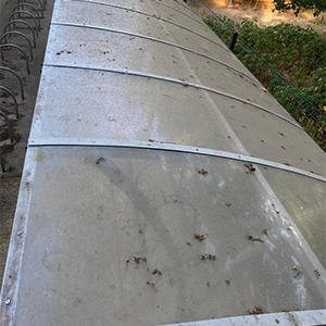 A weathered, arched roof covers a bike rack. The translucent panels have dirt and debris, with greenery to the side.
