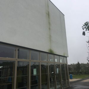 Exterior of a white building with algae streaks, glass windows, and a cloudy sky.