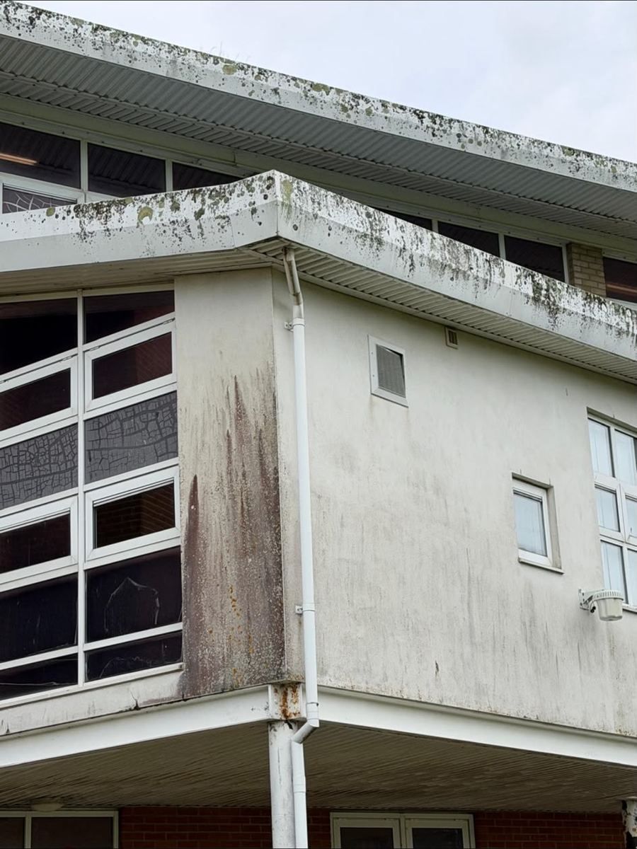 Commercial render facade with heavy algae growth and rust staining before soft wash render cleaning