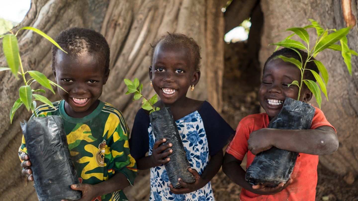 Three smiling children holding saplings by a tree. They're black, in colorful shirts, and appear joyful.