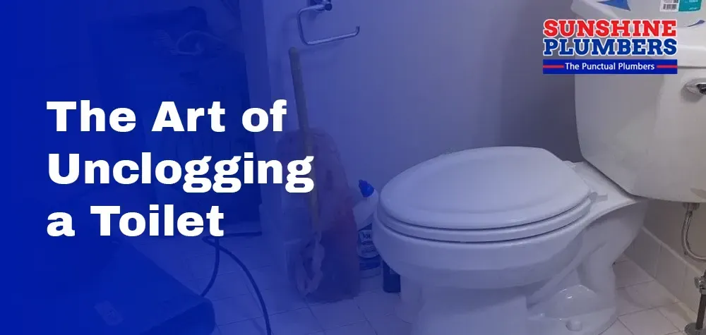 The Art of Unclogging a Toilet